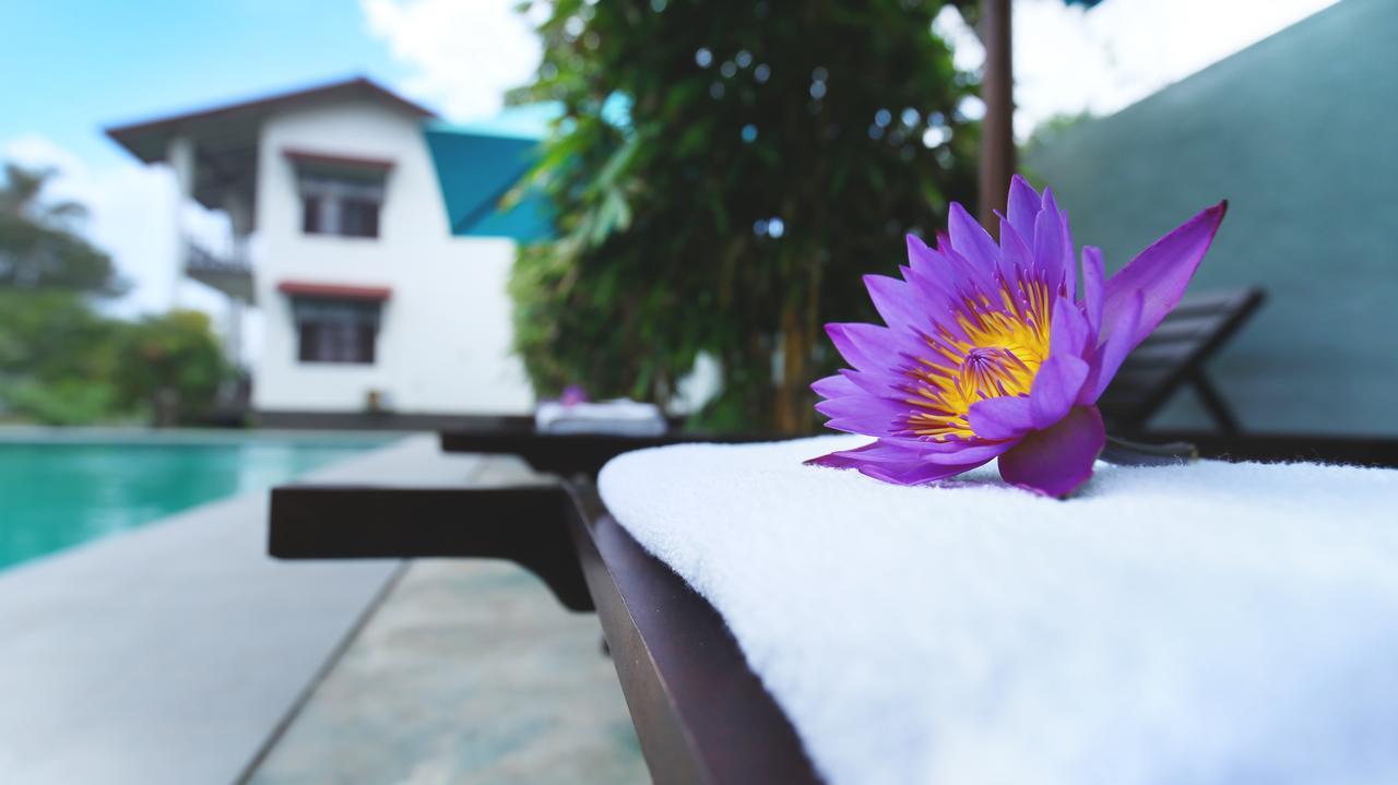 Kaminrich Cottage Matara Exterior photo